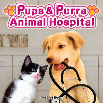 动物医院 Animal Hospital 中文