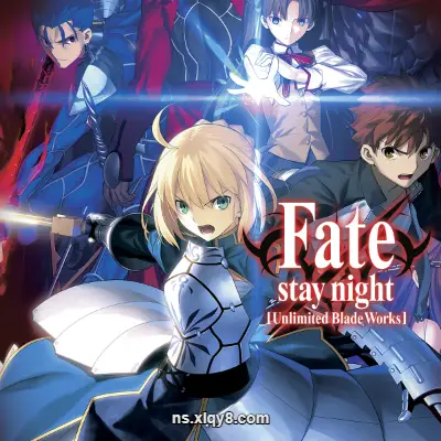[Switch]武士遗迹 Fate 官方中文+v1.3.1升补+8DLC|整合版
