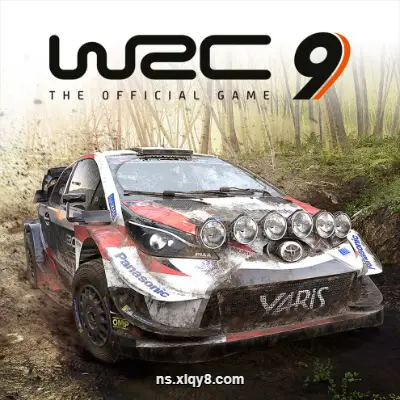 [Switch] 世界拉力锦标赛9 WRC 9 The Official Game|中文版|原版|