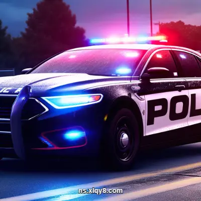 [Switch] 警车驾驶员 城市停车模拟器 Police Car Driver City Parking Simulator|中文原版|