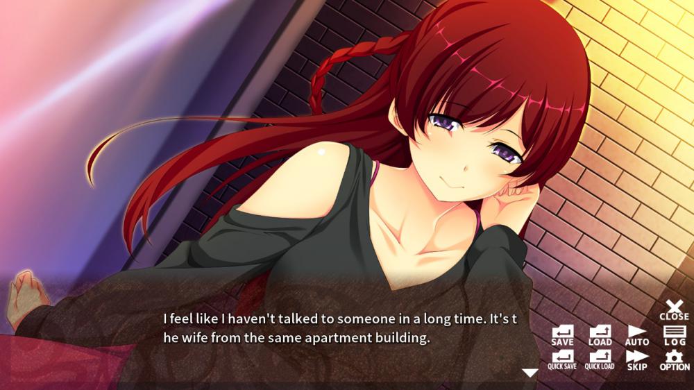 [Switch]甜蜜人妻包围网 中文原版