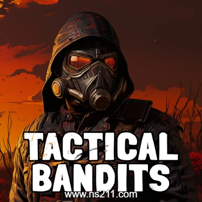 [Switch]后末日侠盗 中文原版