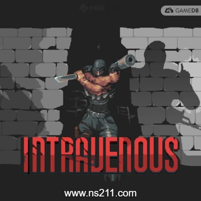 静脉注射 Intravenous|中文版|容量600MB|亲测
