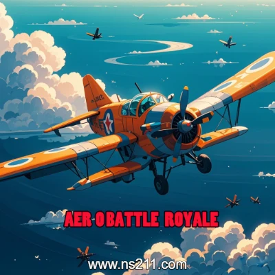 空战大逃杀 AERO BATTLE ROYALE|||亲测