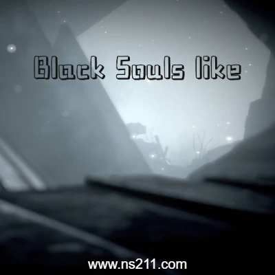 静默时空 Realm of oblivionsoul like|中文||亲测