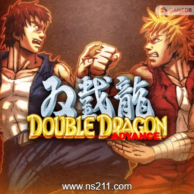 双截龙 Advance Double Dragon Advance|中文本体+升补|