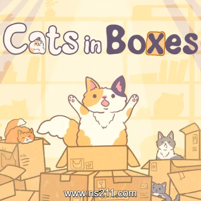 盒中猫 Cats in Boxes