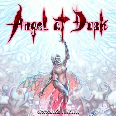 黄昏的天使 Angel at Dusk升补