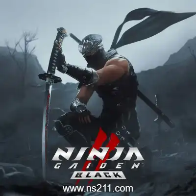 忍者龙剑传2 黑之章 NINJA GAIDEN 2 Black 中文||单机版