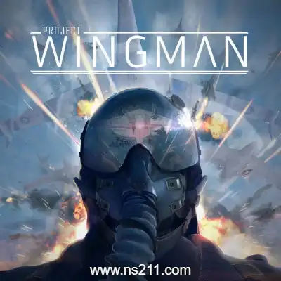 僚机计划 Project WingmanA||单机学习版