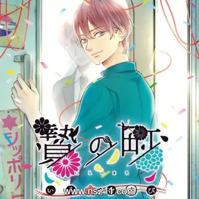 [Switch]祭品小镇 彩结 The Town of Nie Iromusubi 官方中文v1.0.0整合版