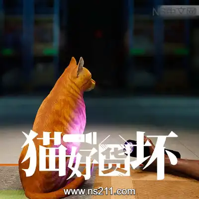 猫好货坏 ORDER 13|单机版