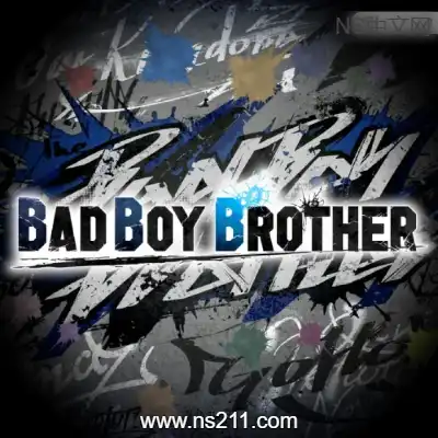 [Switch]坏兄弟 BAD BOY BROTHER 美区中文本体+v1.0.1升补整合版