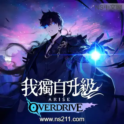 我独自升级 起立·觉醒联机版|