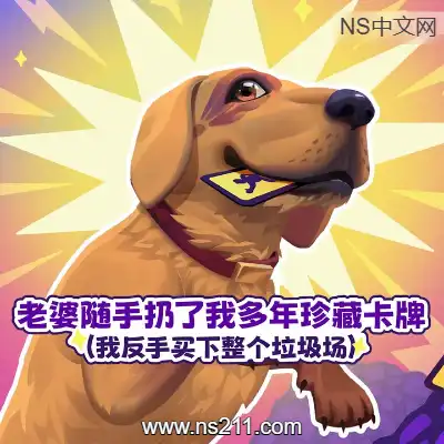 老婆随手扔了我多年珍藏卡牌Build.20972554|