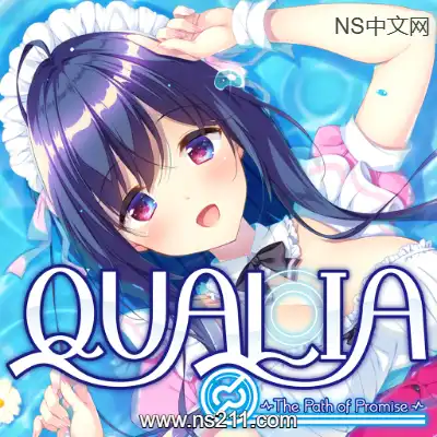 QUALIA 约定的轨迹本体+升补