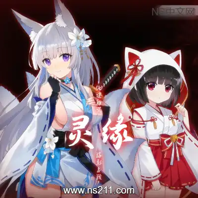 灵缘 化谜解咒 缘影交织Build.21661259