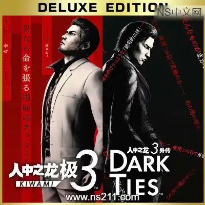 [PC游戏]人中之龙 极3 如龙极3 官方中文v1.15(Build.22369130) 虚拟机版 亲测